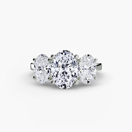 Completed Ring (United States Size 9.00)